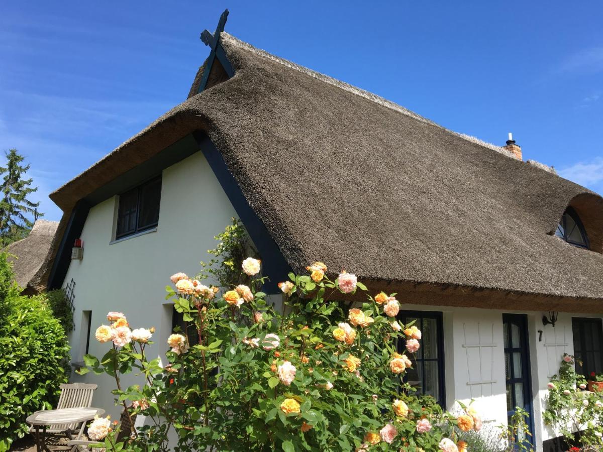 Landhaus Darss Wieck Bagian luar foto