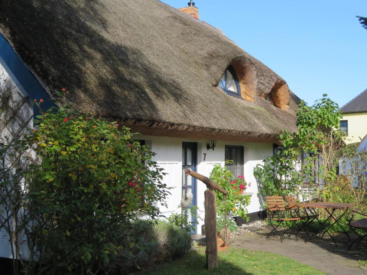 Landhaus Darss Wieck Bagian luar foto