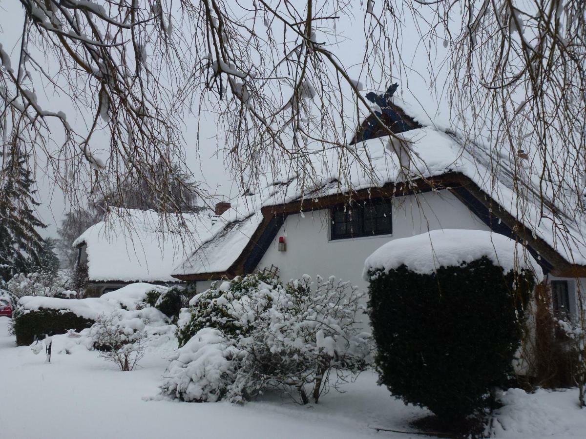 Landhaus Darss Wieck Bagian luar foto